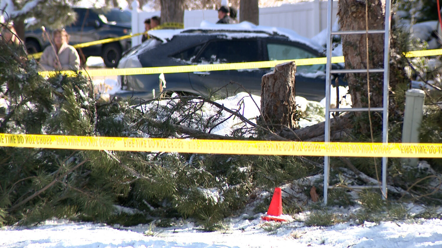 Fatal Kaysville tree cutting incident claims man's life