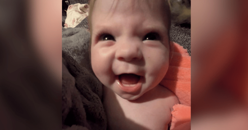 Tragic Incident: Mother of Baby Girl Fatally Attacked by Dog Urges Caution