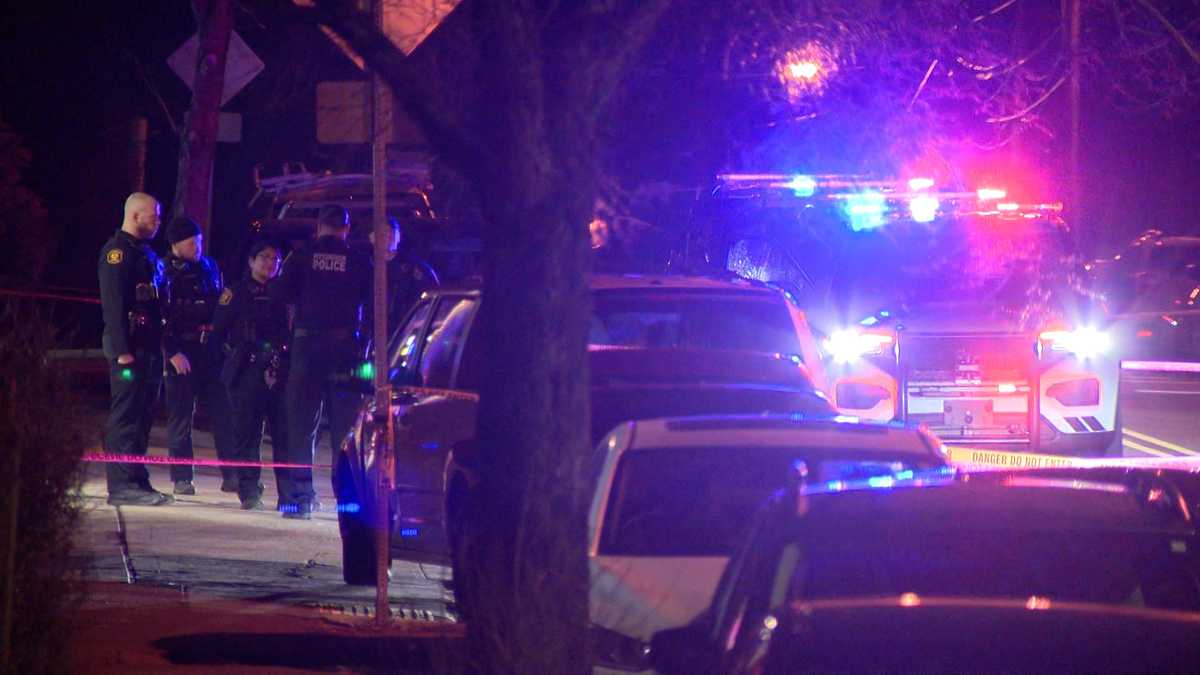 Man hurt and his dog dies in Pittsburgh hit-and-run