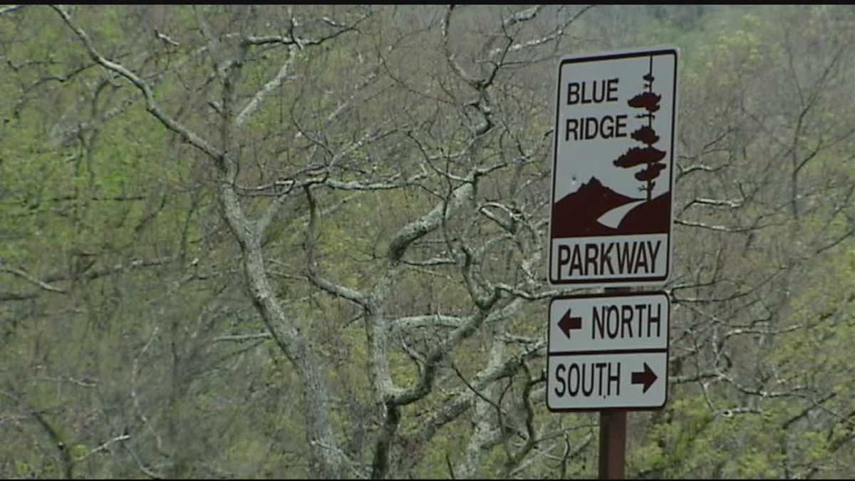 Park service employee, his wife die when vehicle hits tree along Blue Ridge Parkway