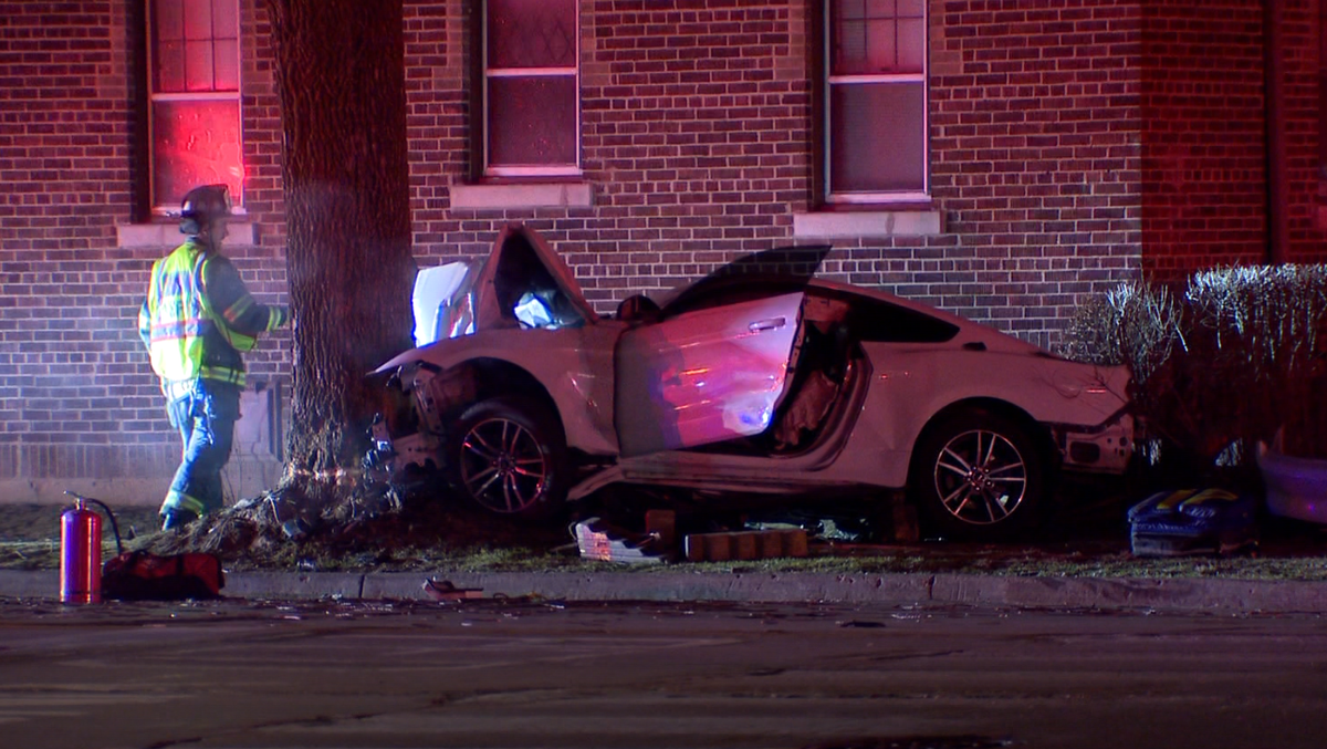 Car crashes into tree in Shorewood