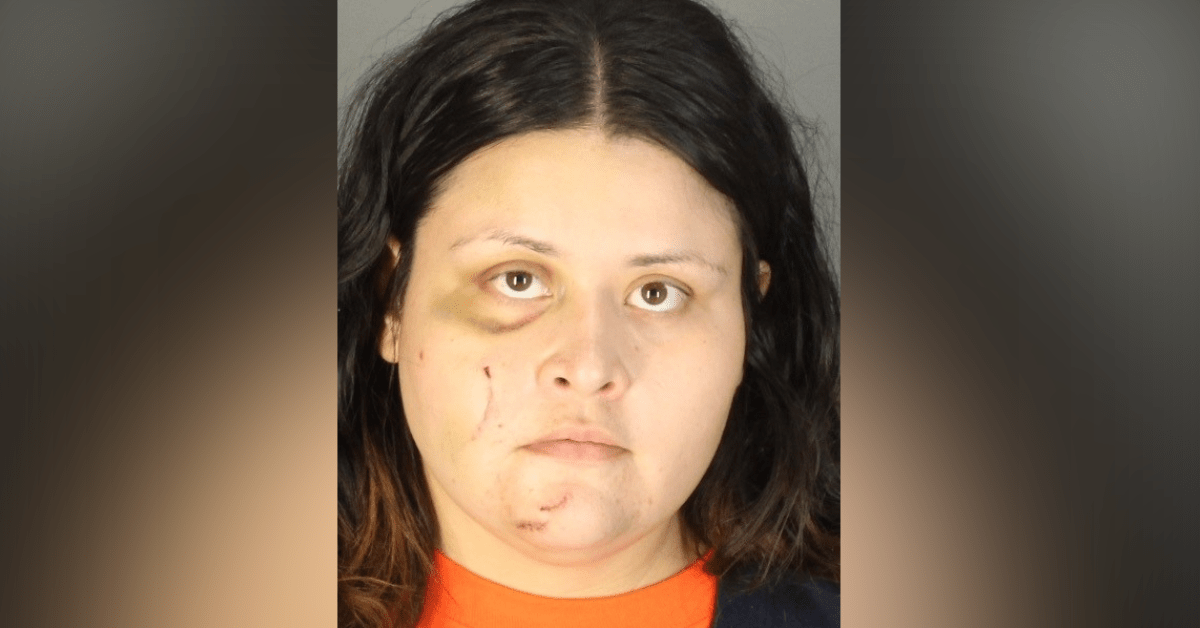 Bail reduced by $1 million for mother in deadly Napa DUI accident