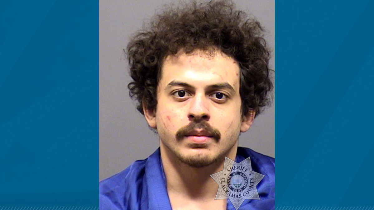 Jury determines man under influence of mushrooms ran red light, caused deadly collision
