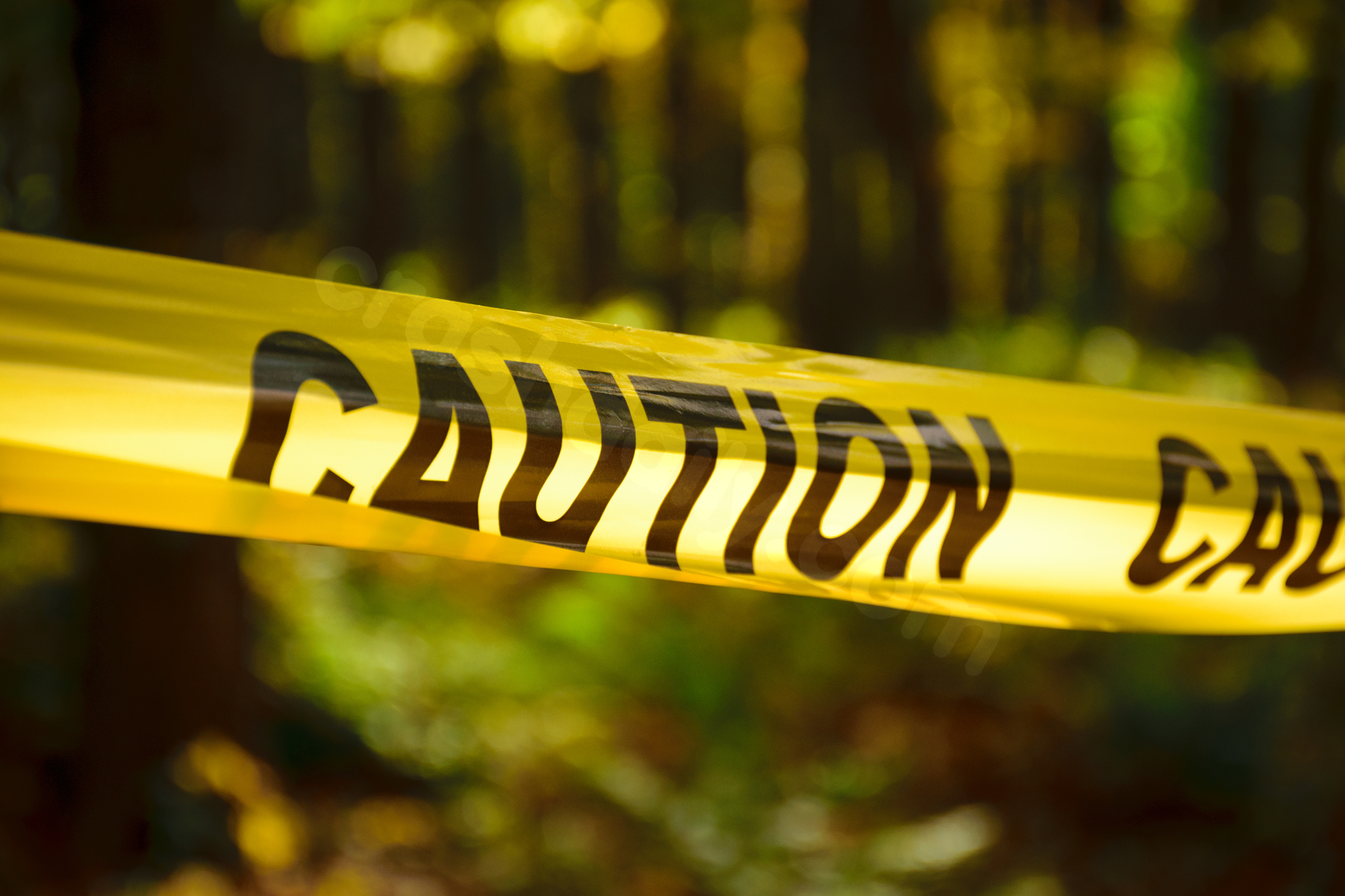 Fatal tree accident claims 2 lives on Eureka Road