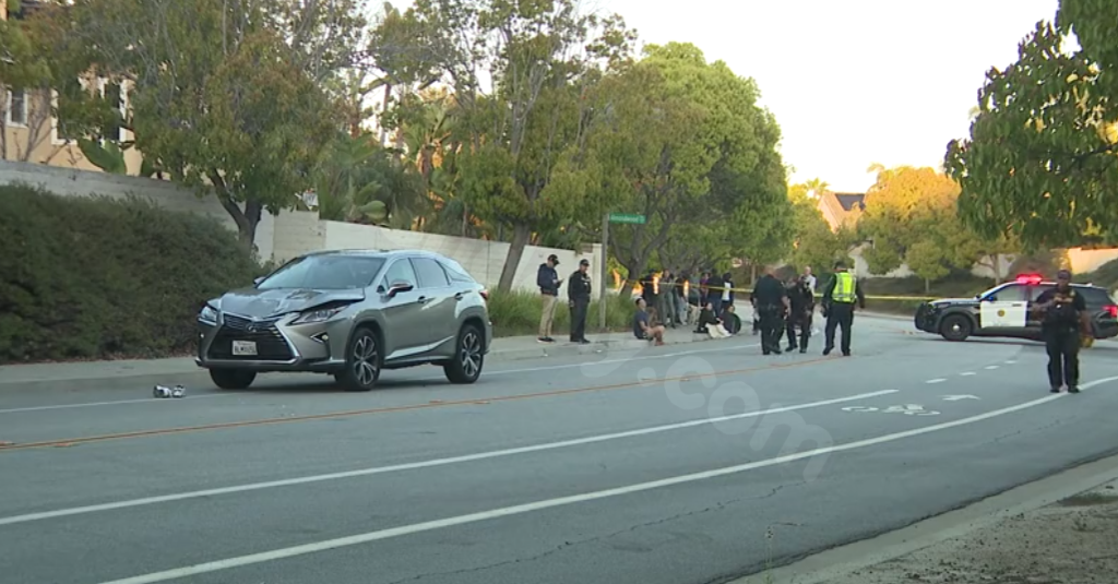 Man killed by vehicle while walking dog in Carmel Valley.