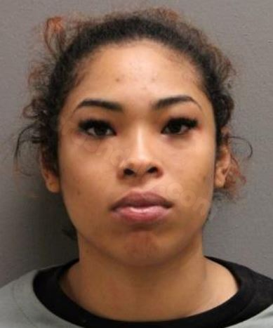 Illinois woman accused of DUI in fatal I-94 collision
