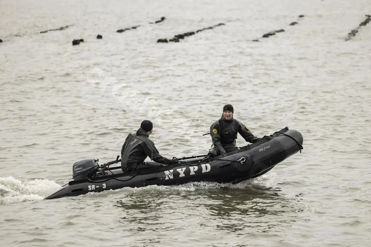 The three theories on the New York helicopter crash: drone interference, bird collision, or engine malfunction