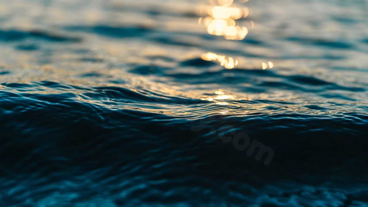 Brandon man killed in boating crash in Alabama