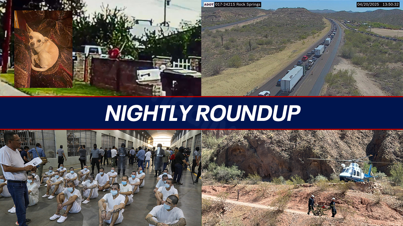 Man caught beating Chihuahua with a shovel in Peoria; Fatal crash on Interstate 17 | Nightly Roundup