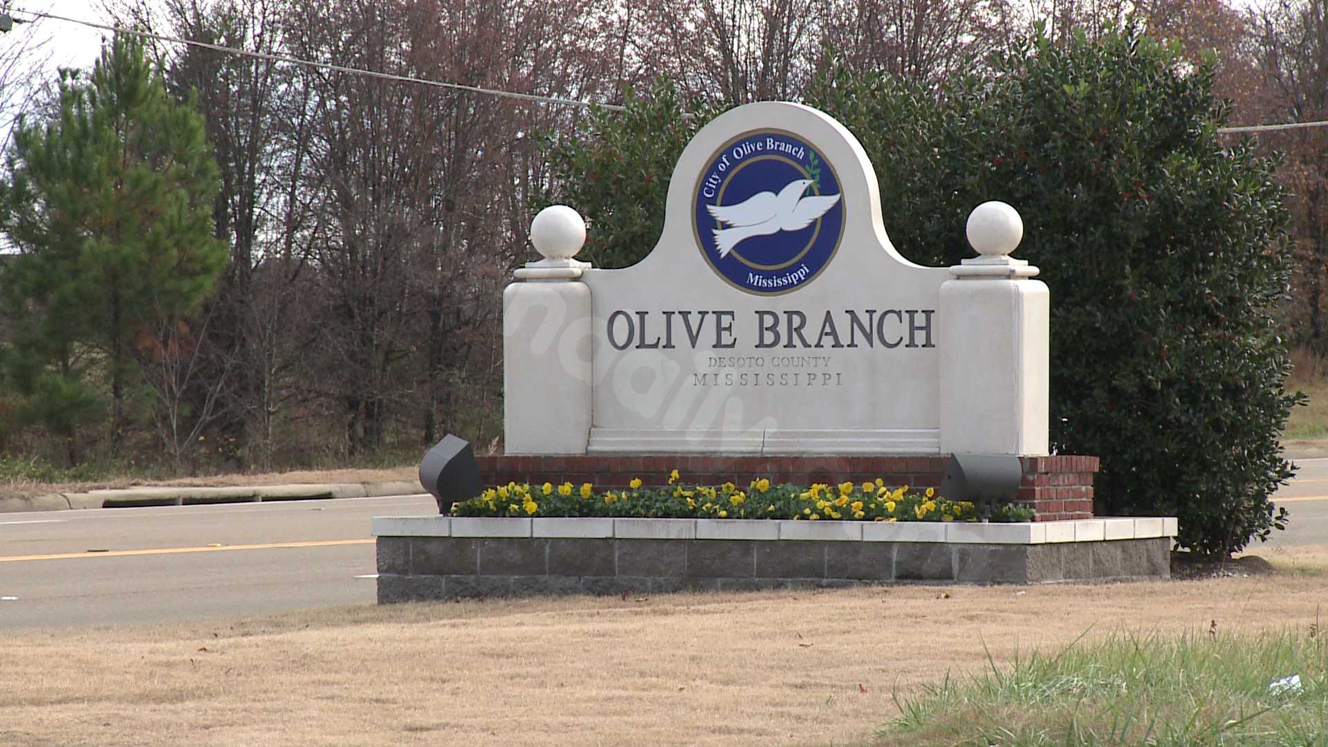 Olive Branch police lieutenant dies after ATV accident