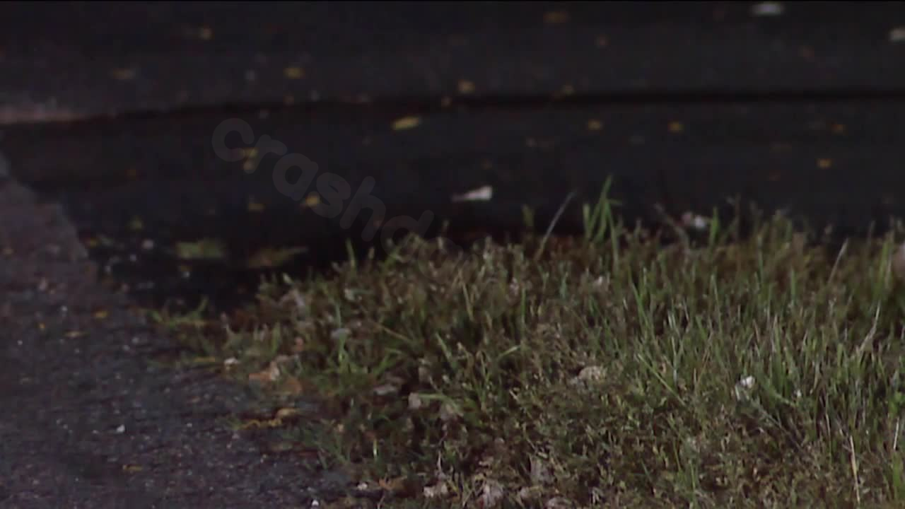 Virginia woman killed gardening after freak accident on Easter Sunday, police say