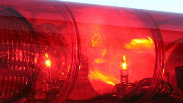 2 dead after SUV crashes into tree, bursts into flames, officials say