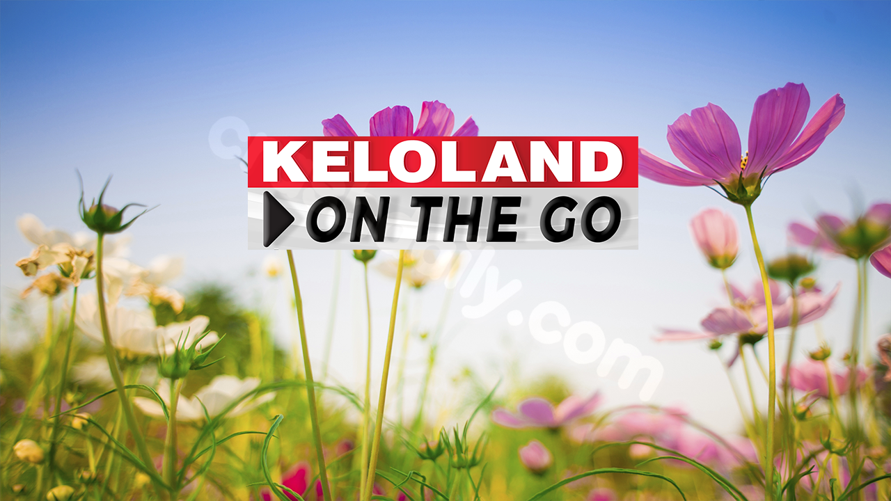 Pine Ridge homicide; Fatal I-90 crash; Rain chances