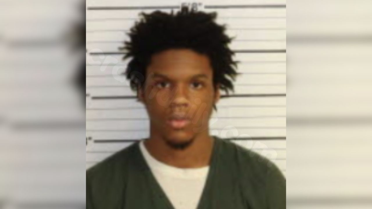 Teen charged as adult in deadly crash after police chase