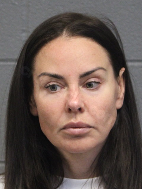 Chicago woman charged in deadly hit-and-run crash