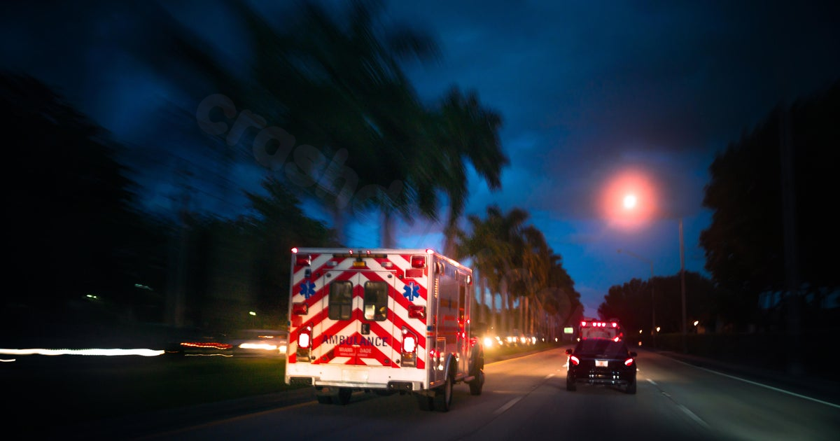 Several injured in Florida ferry crash