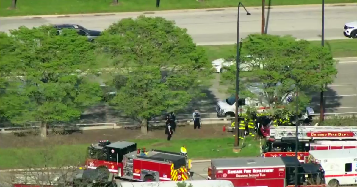 1 dead, 1 critically injured when car slams into tree on DuSable Lake Shore Drive on Chicago's South Side