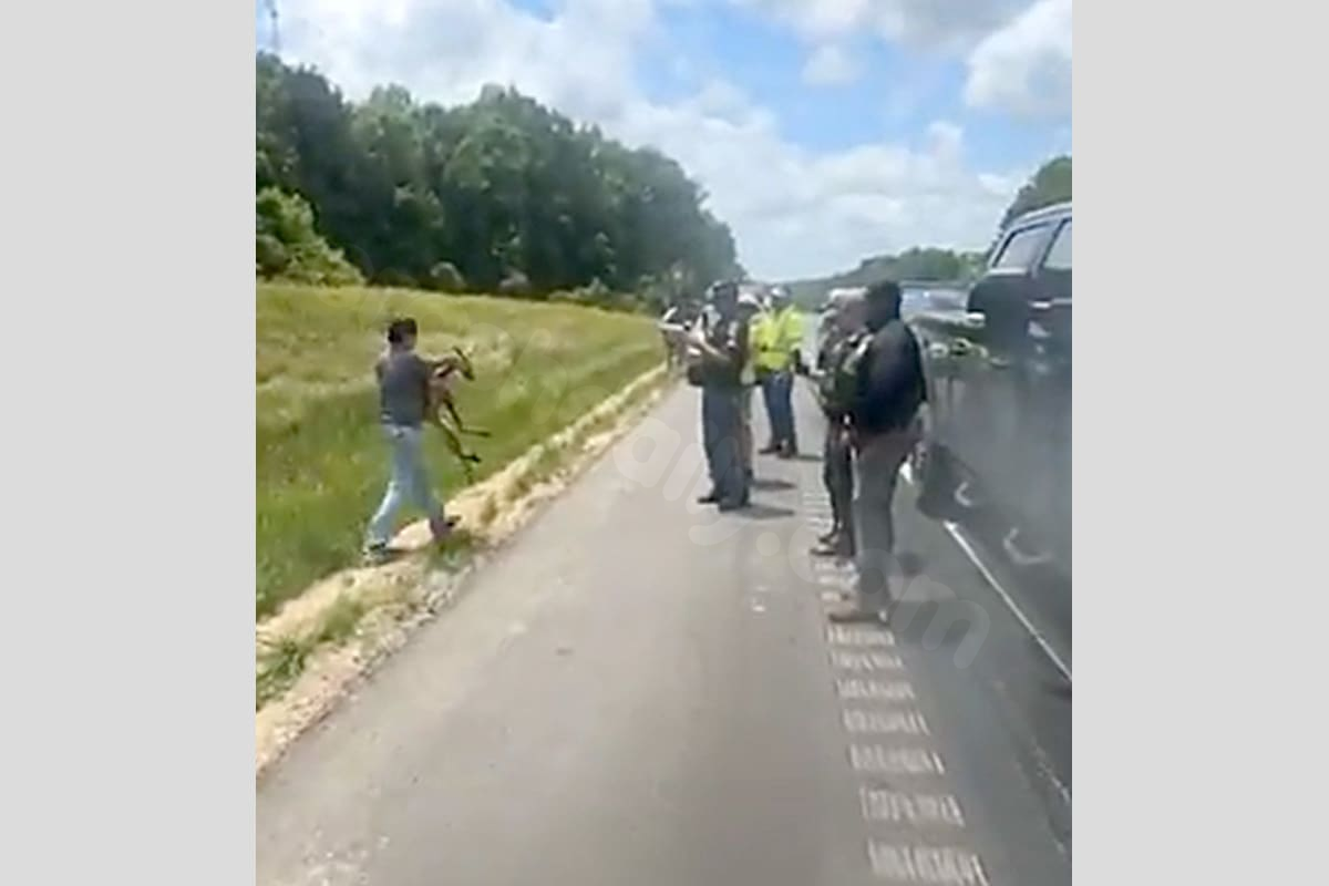 Kangaroo causes collision, stops traffic on Alabama highway
