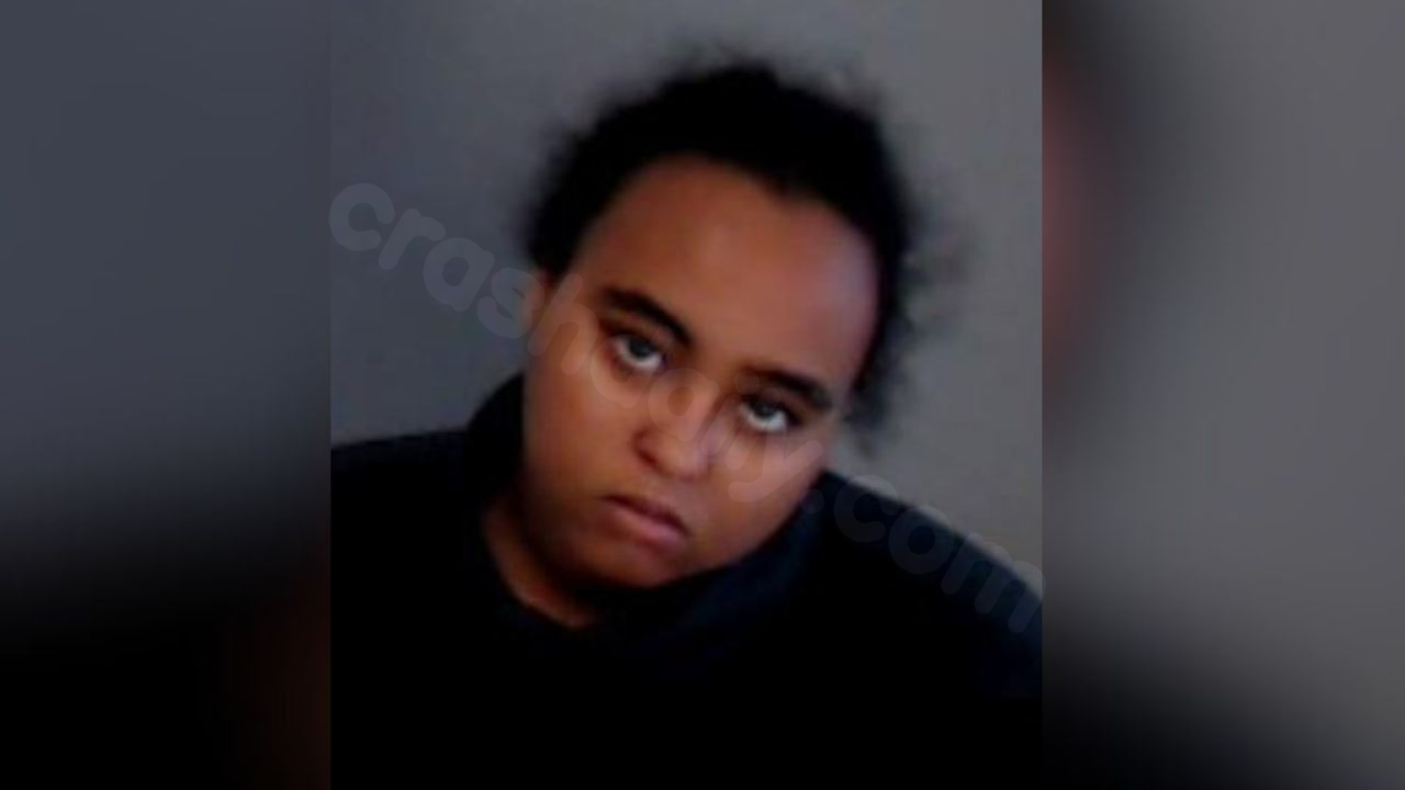 Driver accused in deadly L5P crash denied bond