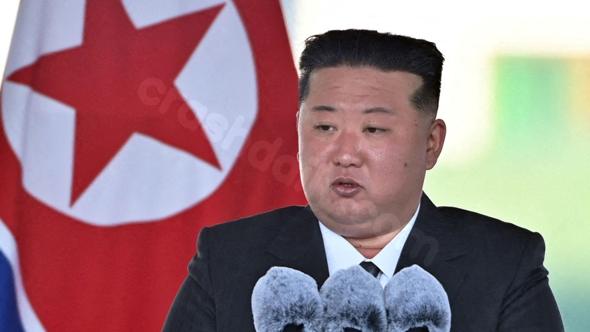 North Korea's Kim Jong Un calls warship launch accident a 'criminal act'