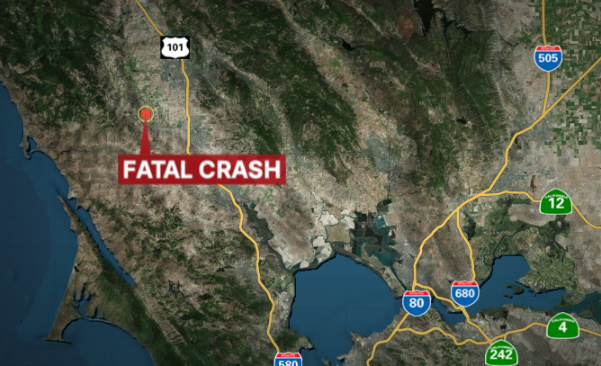 Driver killed in Sebastopol crash