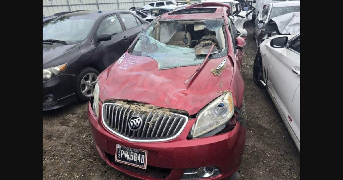 Colorado crash survivor reflects on fatal accident: 'We're lucky to be alive'