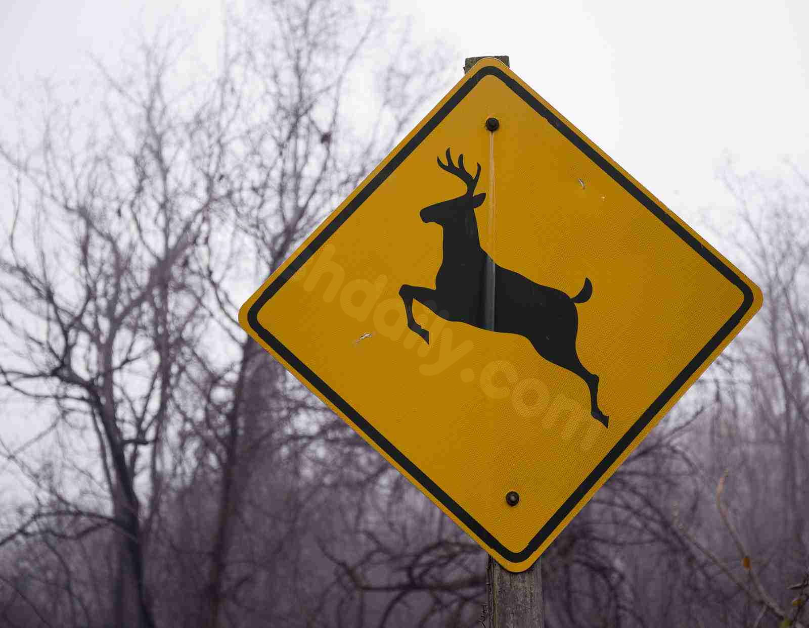 Deer causes another deadly crash in northeastern Iowa in less than two weeks.