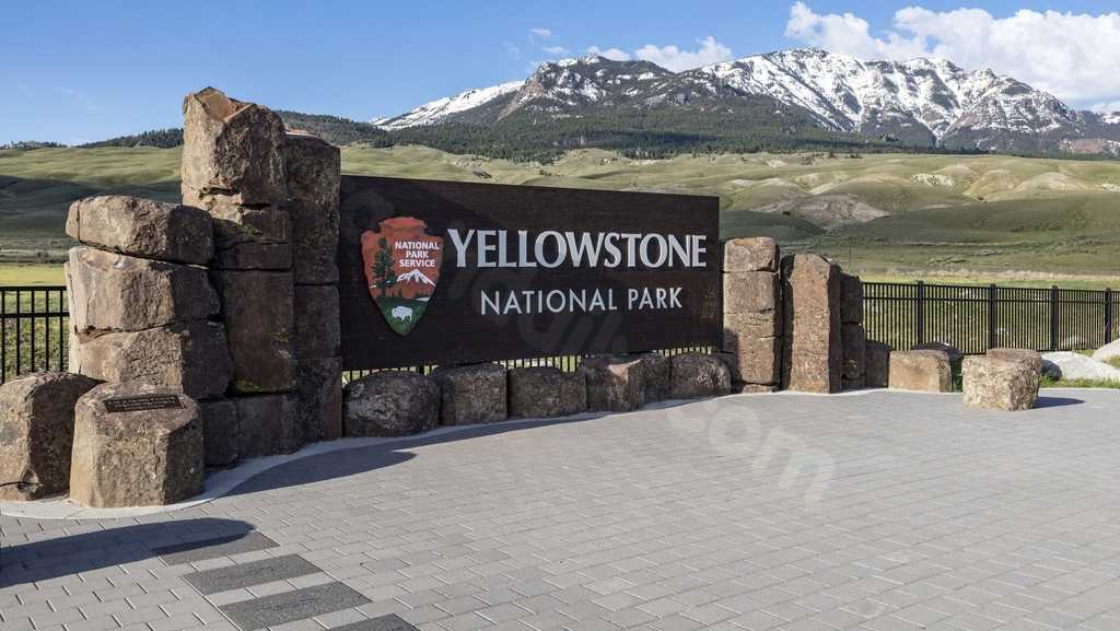 Fatal Yellowstone crash: Driver had double legal blood alcohol level
