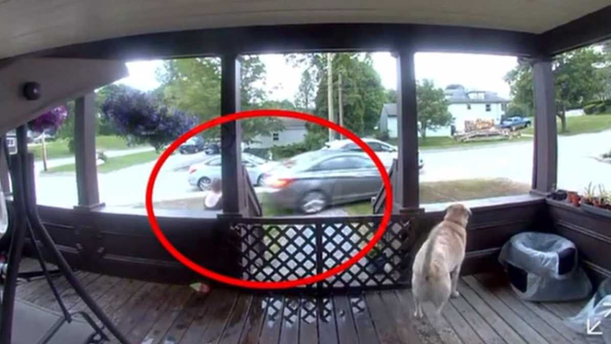Vehicle collides with Auburn residence, narrowly avoiding woman watering yard