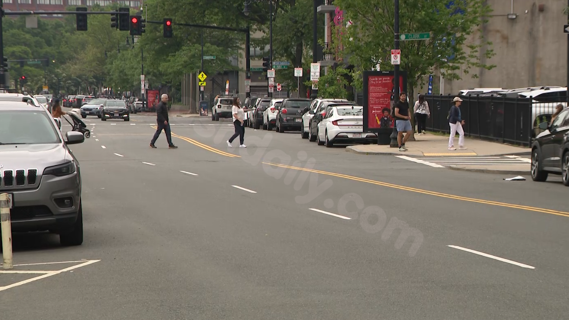 Woman and dog struck by car on accident-prone Boston road