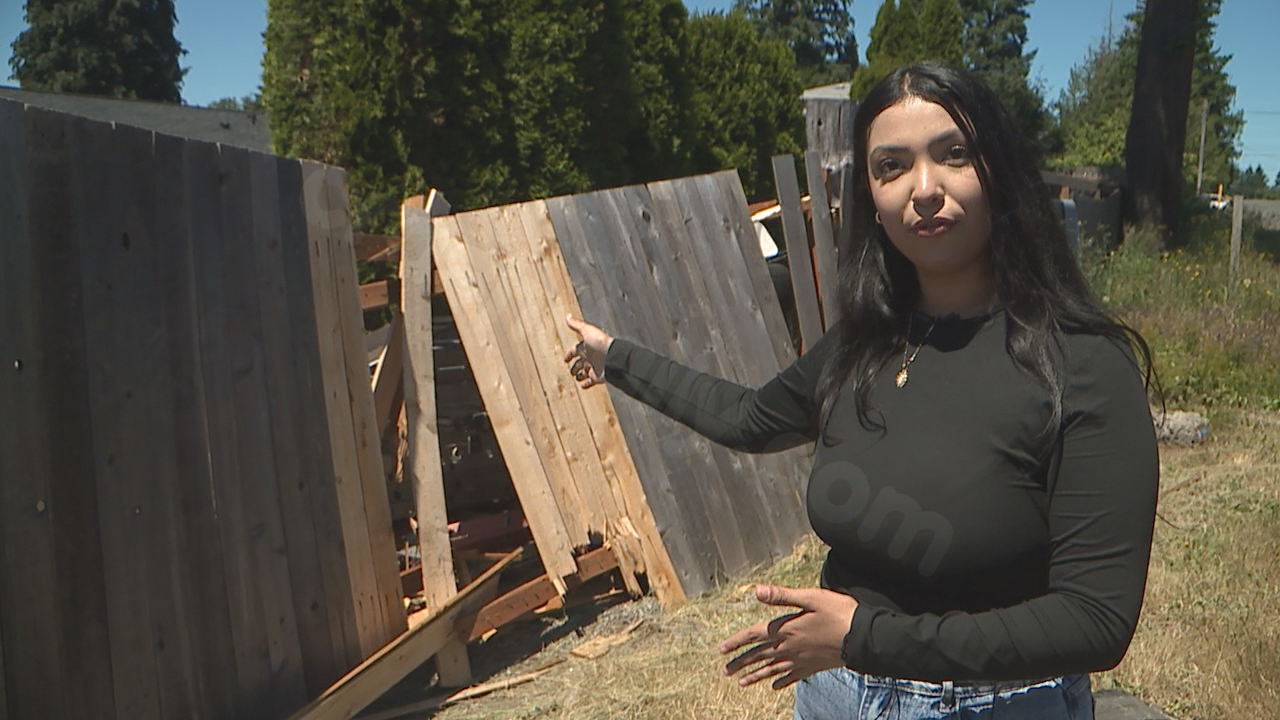 Residents in Parkland, WA frustrated and fearful of ongoing car accidents.