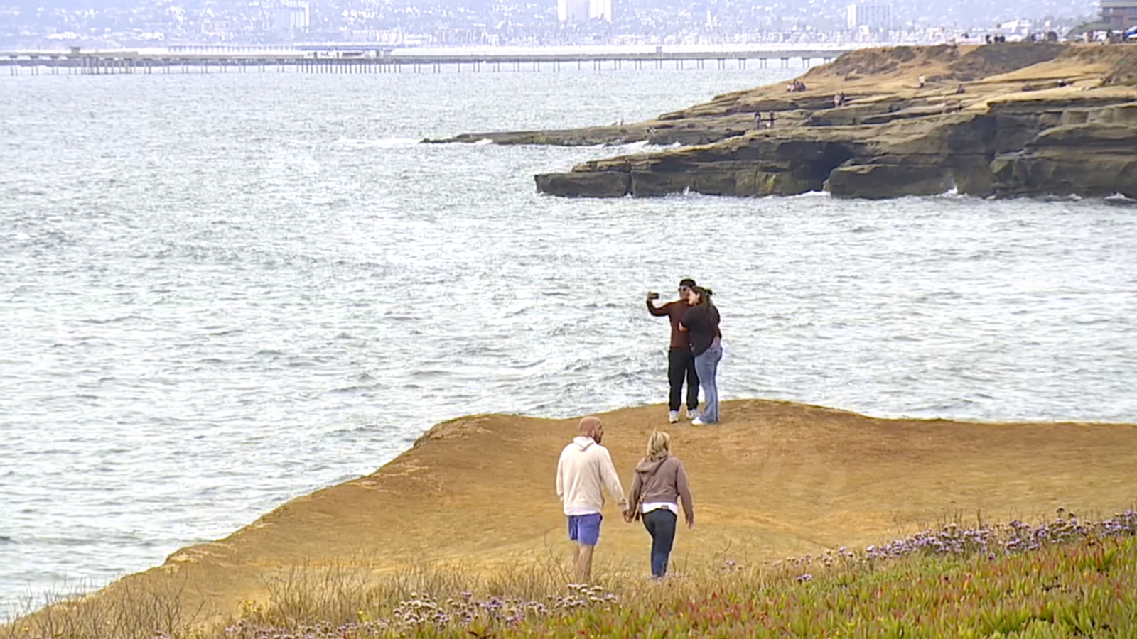 Tragic plane crash kills father and 3 sons in San Diego.