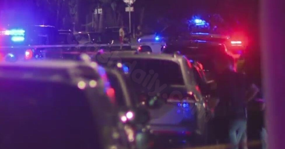 Driver accused in fatal multi-car accident near Shenandoah Park, according to Miami authorities