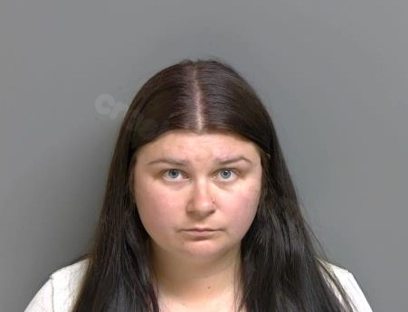 Driver who caused deadly crash while using phone sentenced to jail and probation