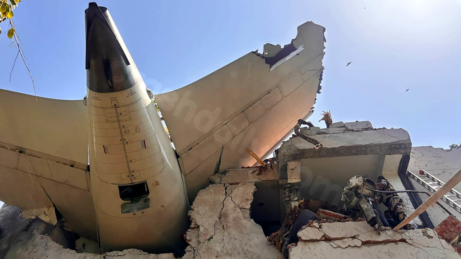 No survivors in plane crash near Indian airport with 242 passengers