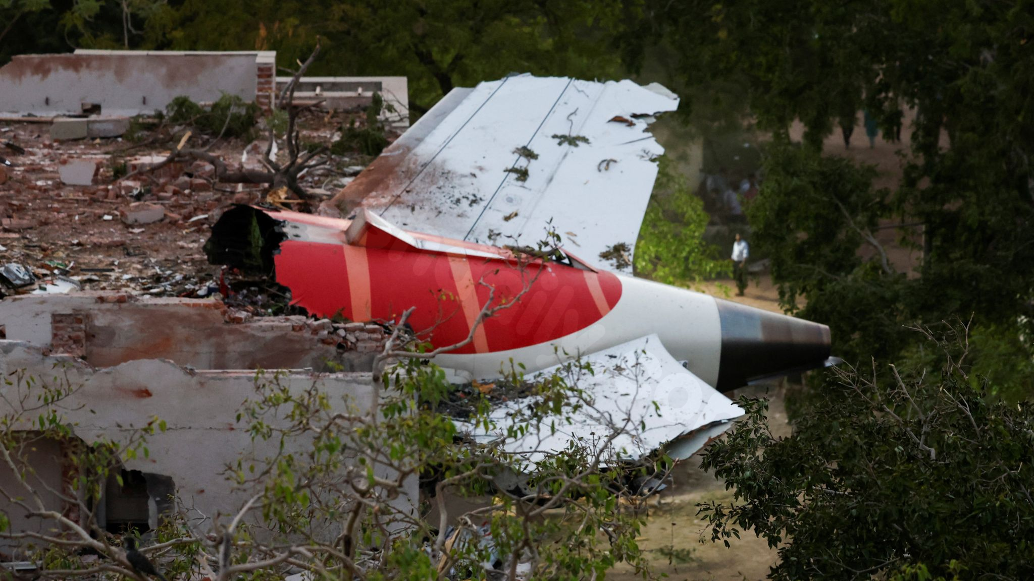 Review of Air India Flight 171 crash by aviation experts