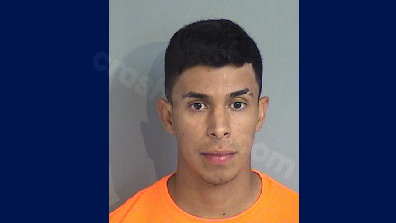 21-year-old charged in fatal hit-and-run crash in Osceola County