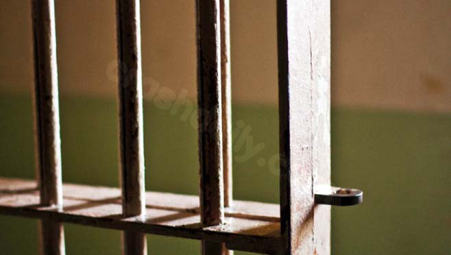 Driver gets 20-year sentence for deadly car accident