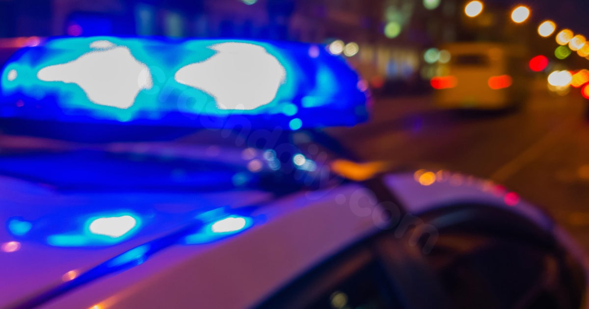 Fatal Accident in Rosemont Leaves Woman Dead, 2 Injured
