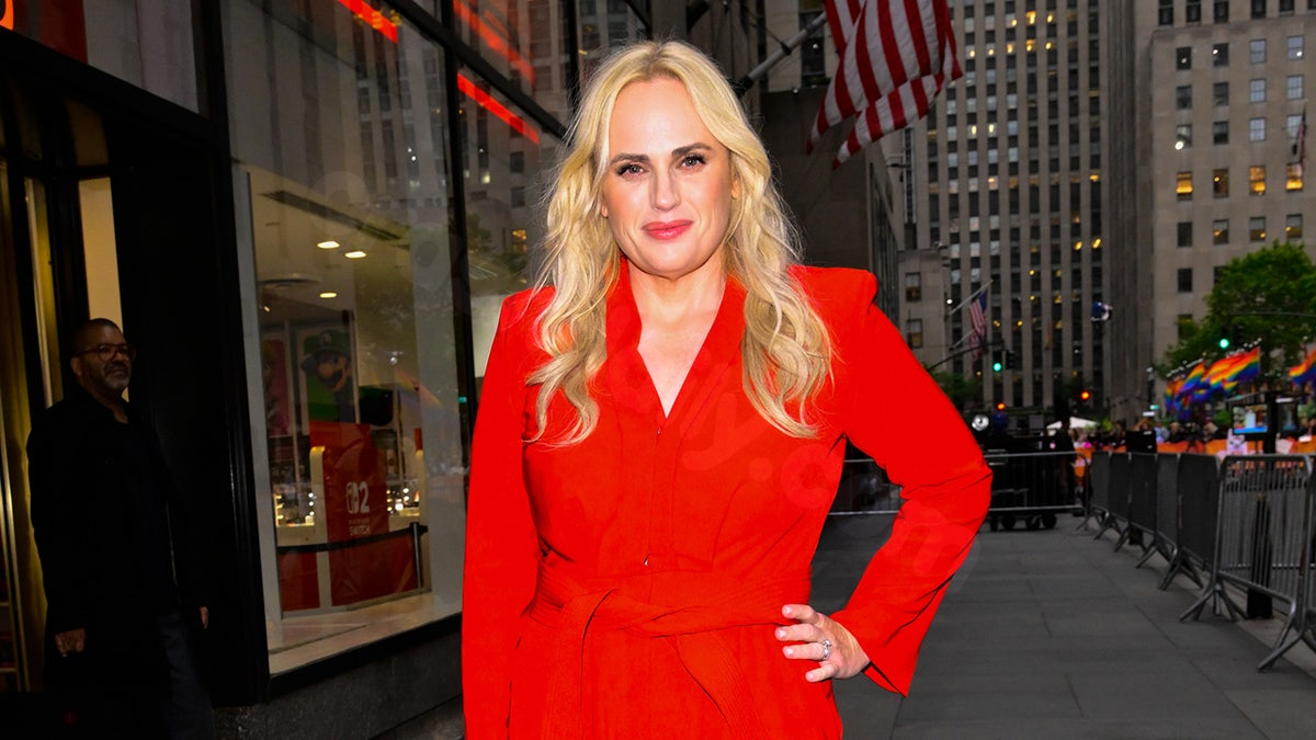Rebel Wilson's Scary On-Set Mishap Almost Caused Permanent Disfigurement