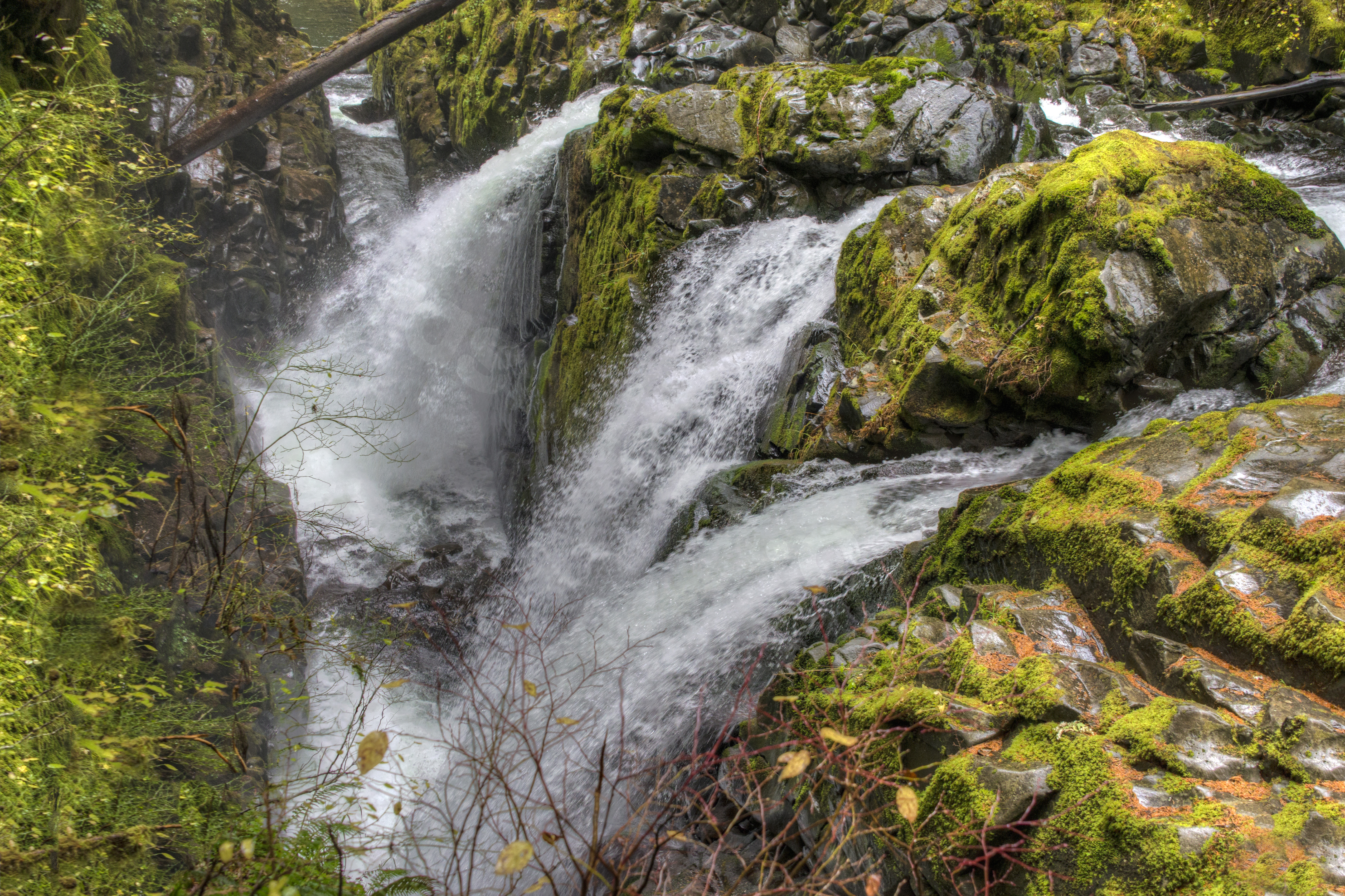 Tragic incident: Teen passes away on celebratory post-graduation hike