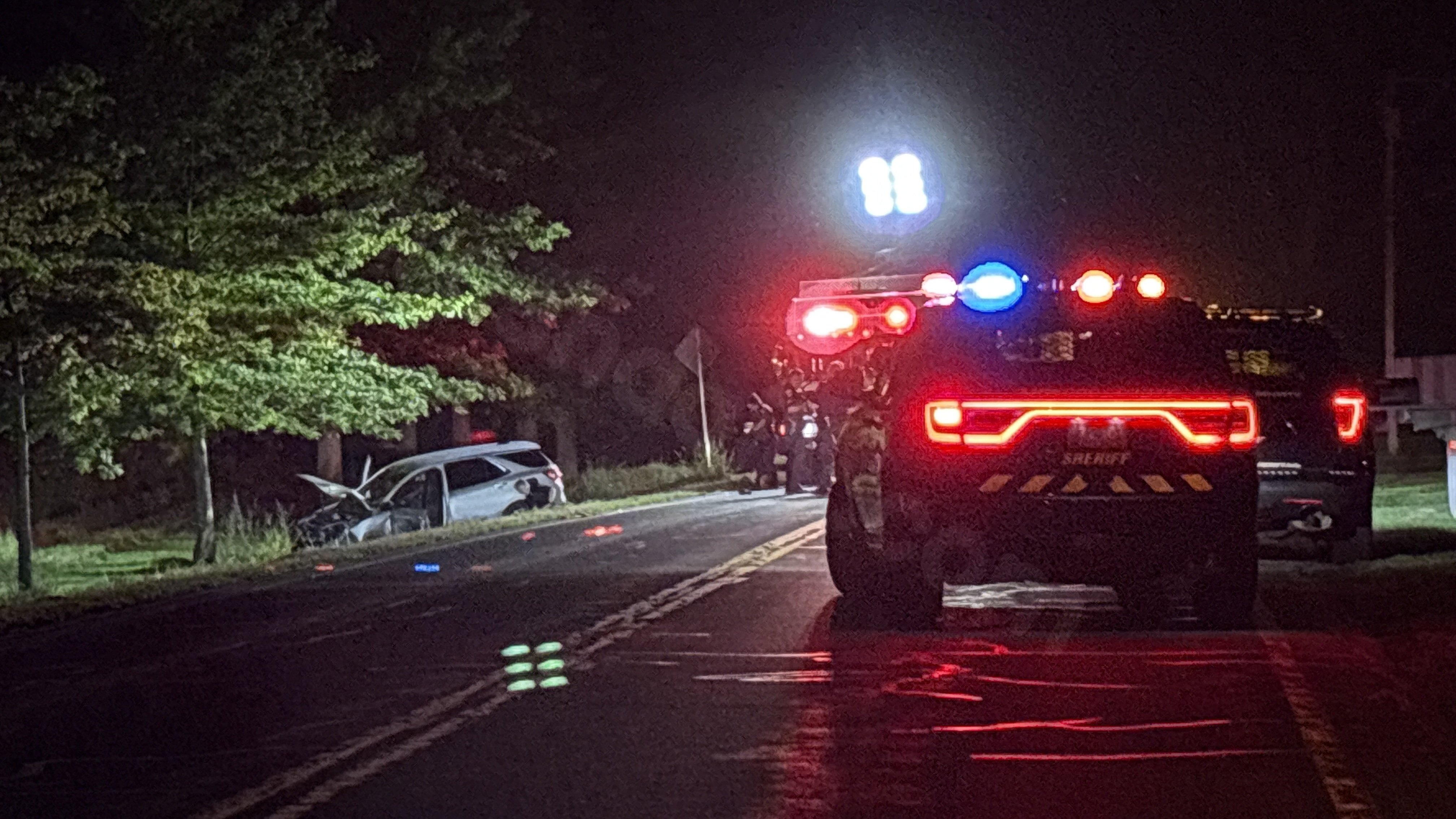 Fatal injuries from single-car crash in Parma