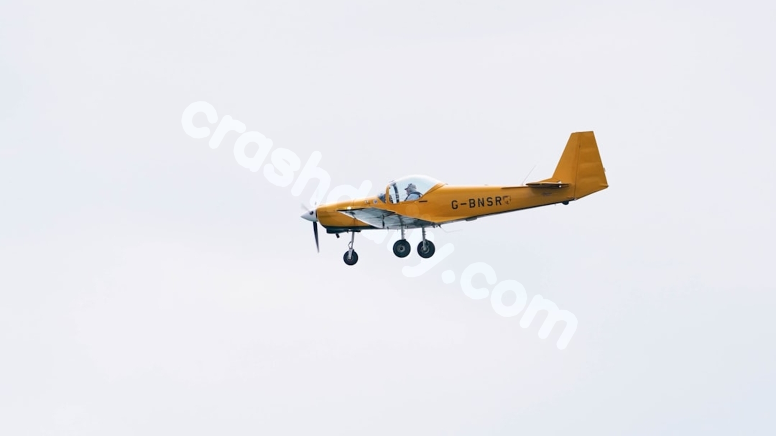 Turtle on the loose results in deadly aircraft accident in North Carolina, claiming 2 lives