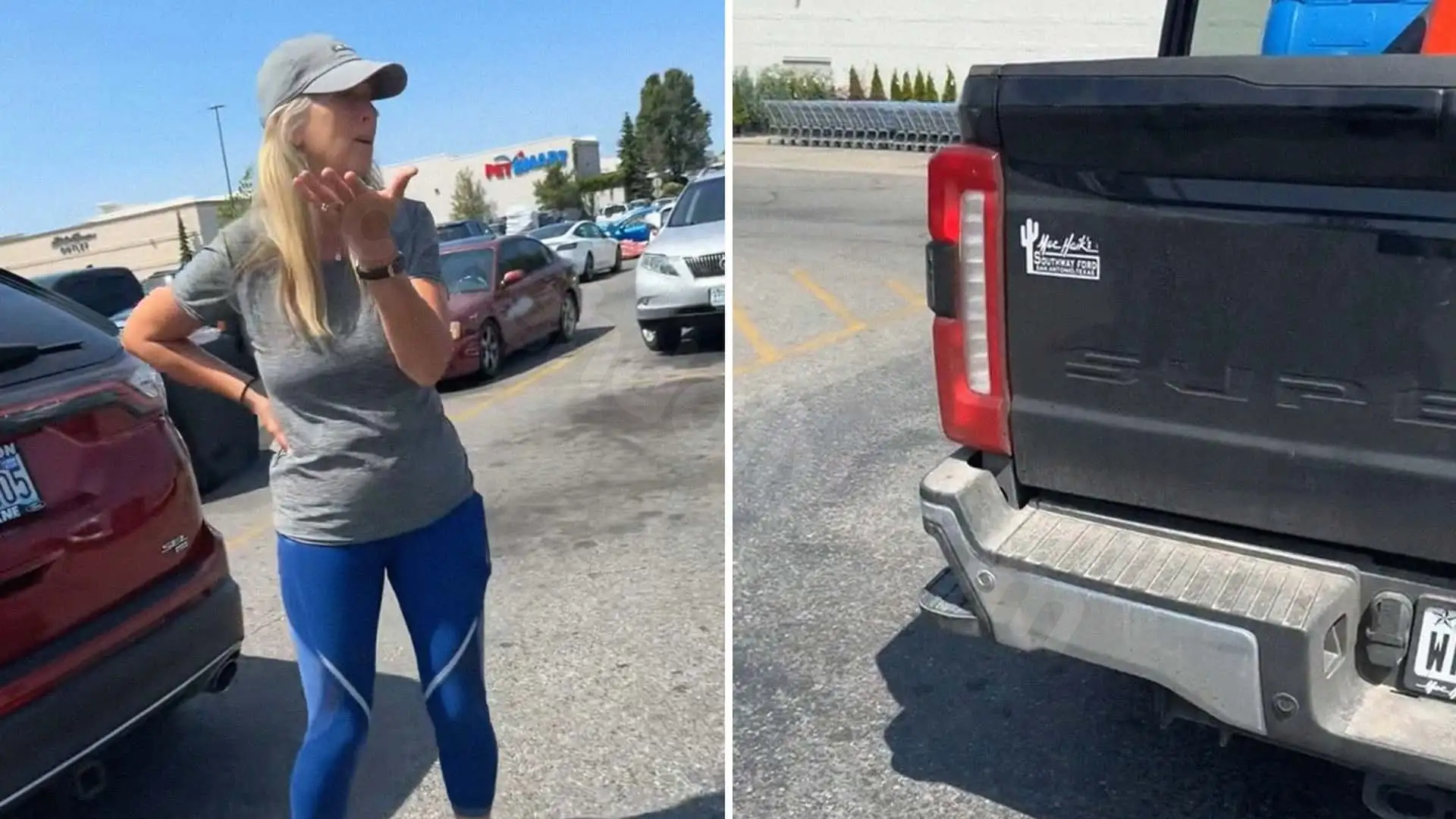 Ford Edge Involved in Minor Collision at PetSmart, Driver Begins Filming