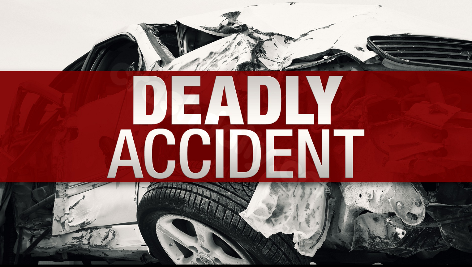 Fatal Solo Car Crash in Allendale County