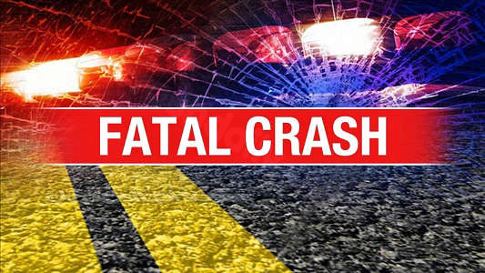 Police disclose driver's identity in deadly horse-drawn carriage crash