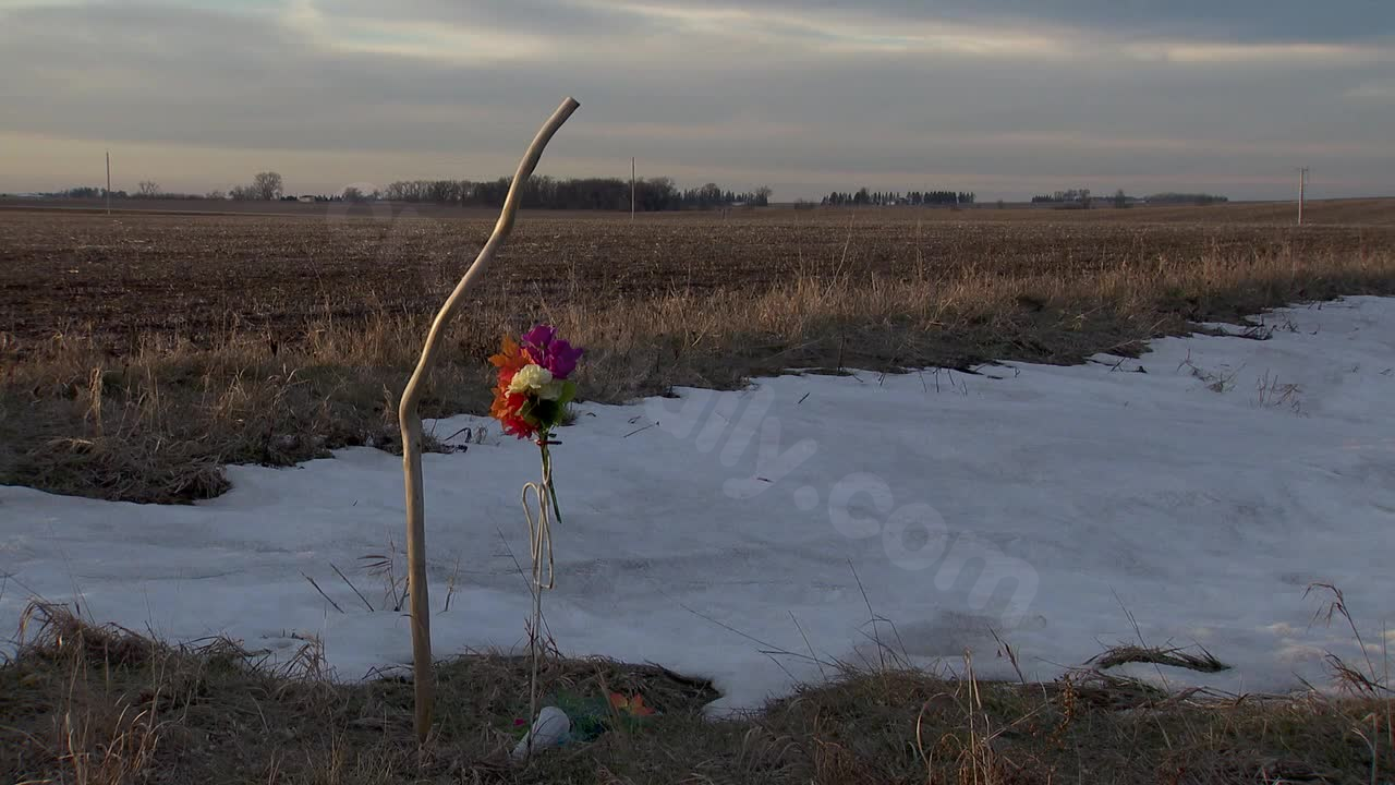 Woman confesses to causing deadly Amish carriage accident while under the influence of meth