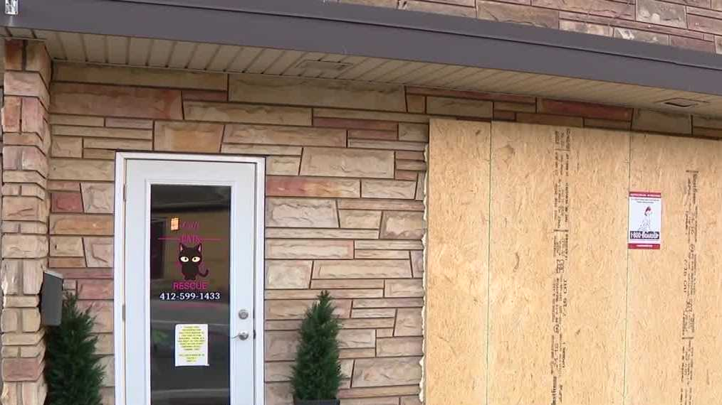 Cat rescue in Bethel Park struck by car shortly after opening
