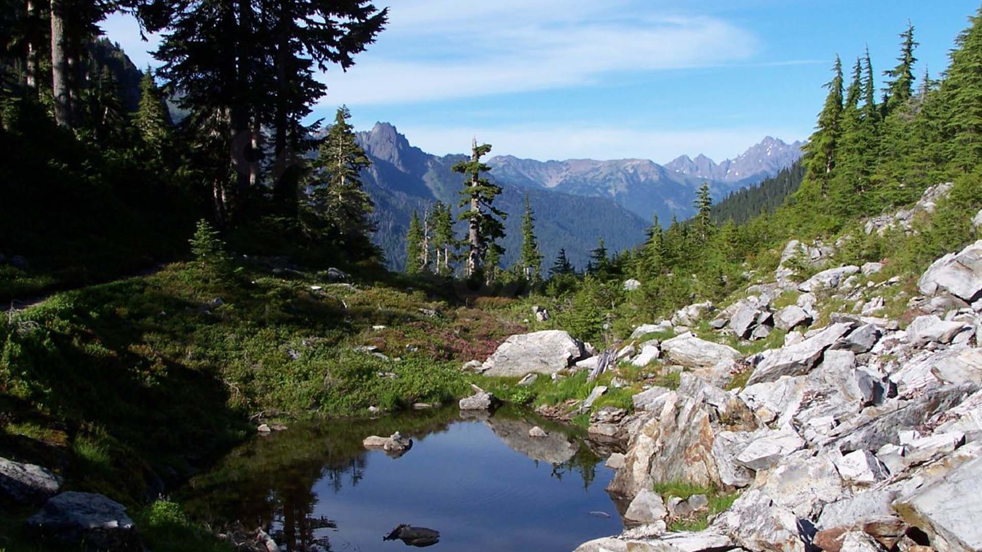 Small plane crash in Olympic National Park leaves 1 dead, 2 injured