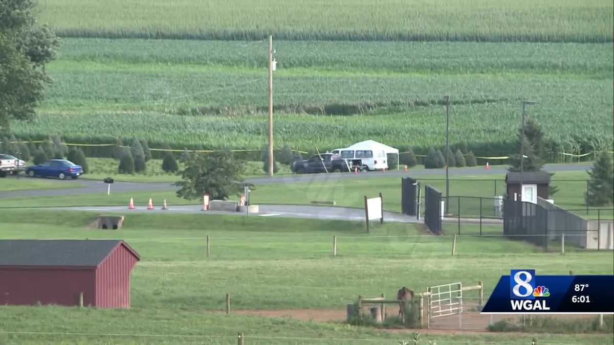 Doctor accused of abuse before fatal accident